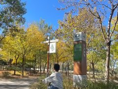 -东郊湿地公园