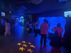 -太平洋海底世界