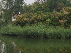-南翠屏公园