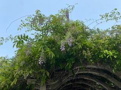 -河南省黄河迎宾馆