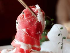 -九鼎轩脆毛肚火锅(三钢里店)