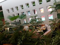 -0048鲜活香辣虾·火锅(铜陵路店)