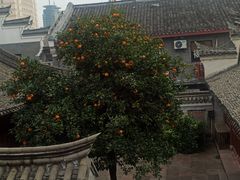 -陈生记黑鱼馆·20年活鱼现杀(宁波鼓楼店)