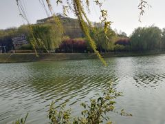 -河北省园博园