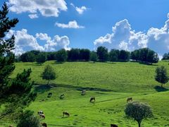-北戴河转鱼·炒螃蟹酱餐厅