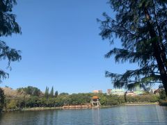 -深圳龙潭公园
