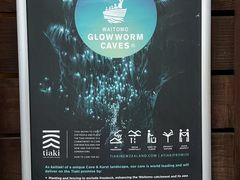 -怀托摩萤火虫洞