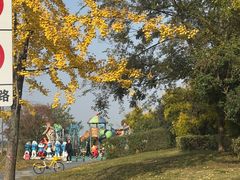 -两河城市森林公园