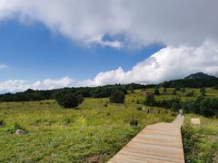 -白草畔自然风景区