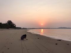 -三亚海棠湾万丽度假酒店