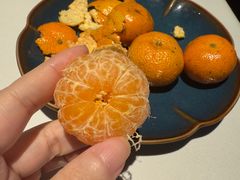 临海蜜柑-荣小馆(安达仕店)
