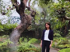 -Chom Cafe and Restaurant