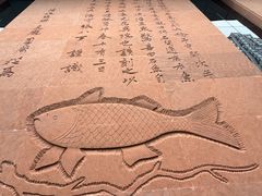 -白鹤梁水下博物馆