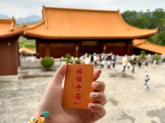 -深圳仙湖植物园