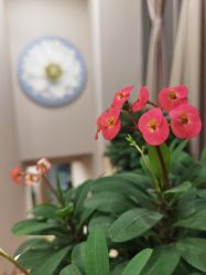 -酉嘉瑜伽YO+YOGA