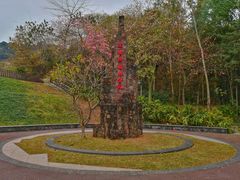 -王借岗森林公园