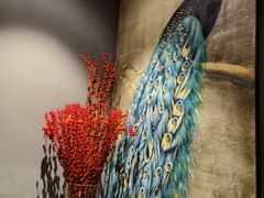 -弦月窗LUNETTE BY AMANDA(复兴路店)