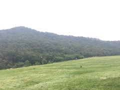 -金石唐风国际温泉会馆