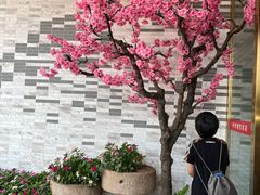 -解家河南菜(商鼎路店)