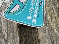 -帽儿山风景区