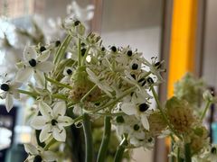 -李沧绿城喜来登酒店大堂吧