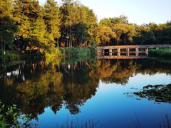 -西溪国家湿地公园