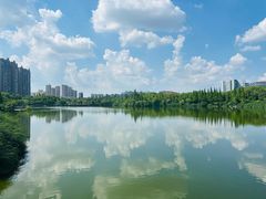 -成都南湖公园