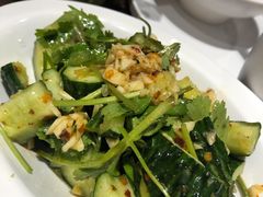 凉拌青瓜-嘚色烧烤（东北烤串）(石溪店)