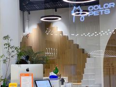 -COLOR PETS 撸猫馆·购猫·猫咖(长风大悦城店)