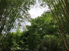 -新竹里馆·花园餐厅(兴苑路店)
