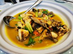 黄焖鲟龙鱼-饭怕鱼(阳光100店)