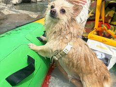 -仙人谷漂流景区