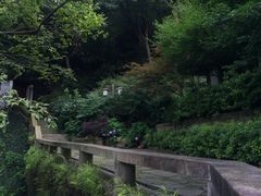 -韬光茶庵