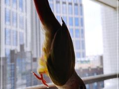 -新君悦国际酒店