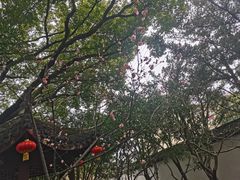 -上海醉白池公园