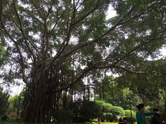 -文儒九号·闽菜馆(三坊七巷店)