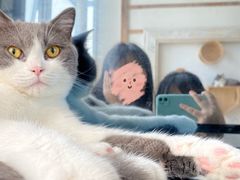-Catmate·猫肥家润(金润铂宫店)