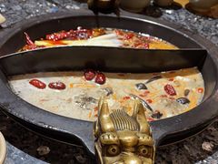 -蜀大侠火锅(建设路第五大道店)