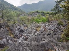 -千岛湖石林