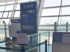 -合肥新桥国际机场-航站楼