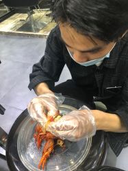 -风向标WIND VANE SALON