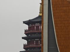 -隋唐大运河文化博物馆