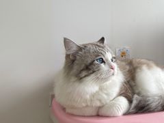 -佳雯宠物医院(四明中路分院)