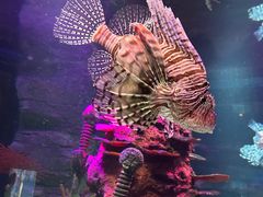 -沈阳海洋探索中心