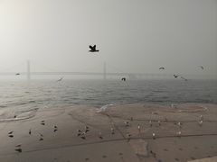 -星海广场