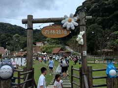 -龙岩森林水乡景区