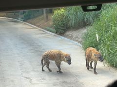 -北京野生动物园