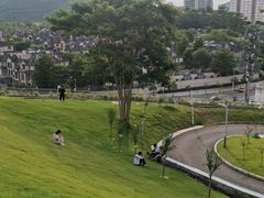 -白石龙音乐公园