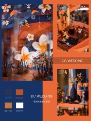 -DC大蔡婚礼策划(李公堤店)