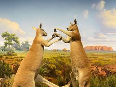 -陕西自然博物馆